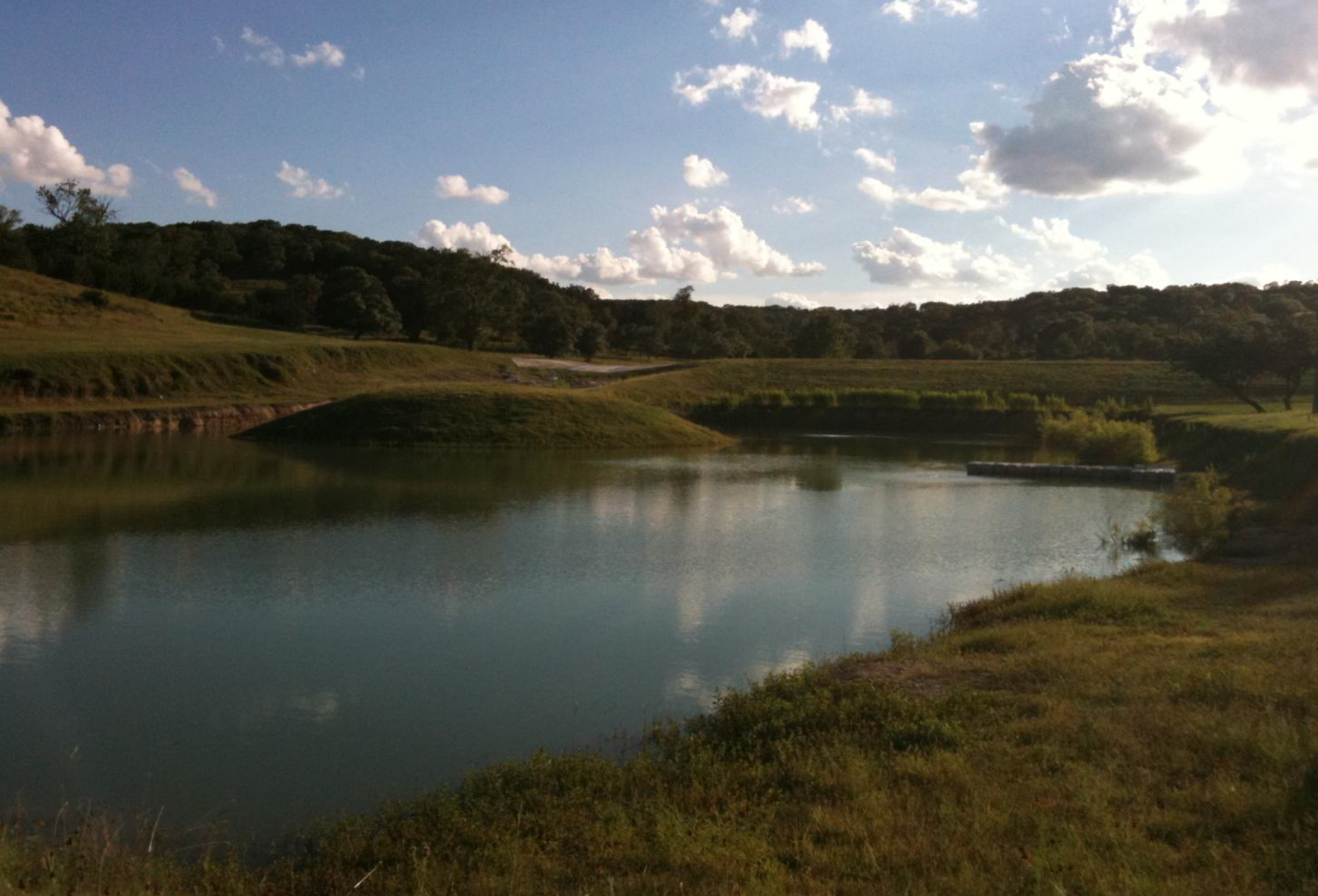 Pond