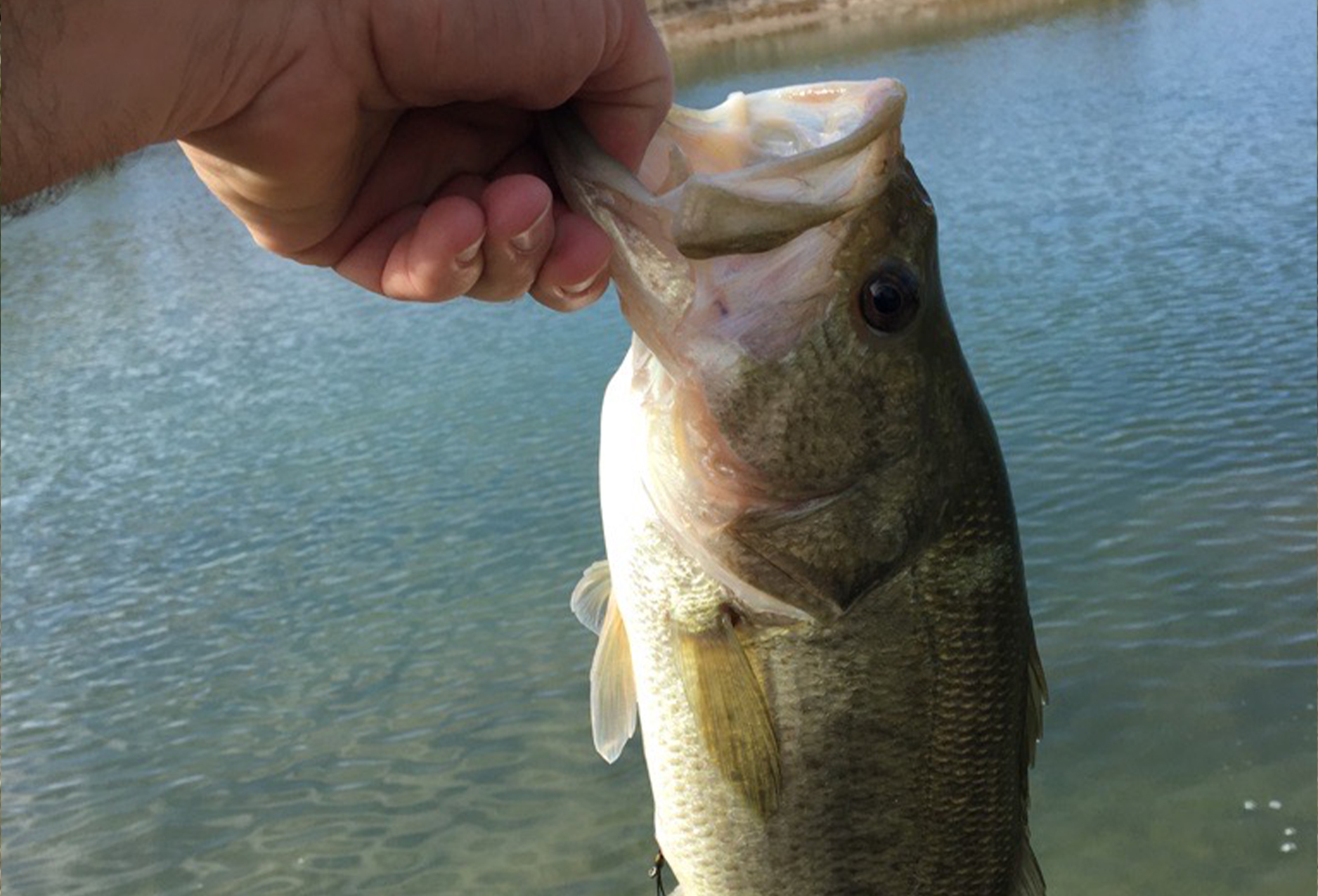 Fishing