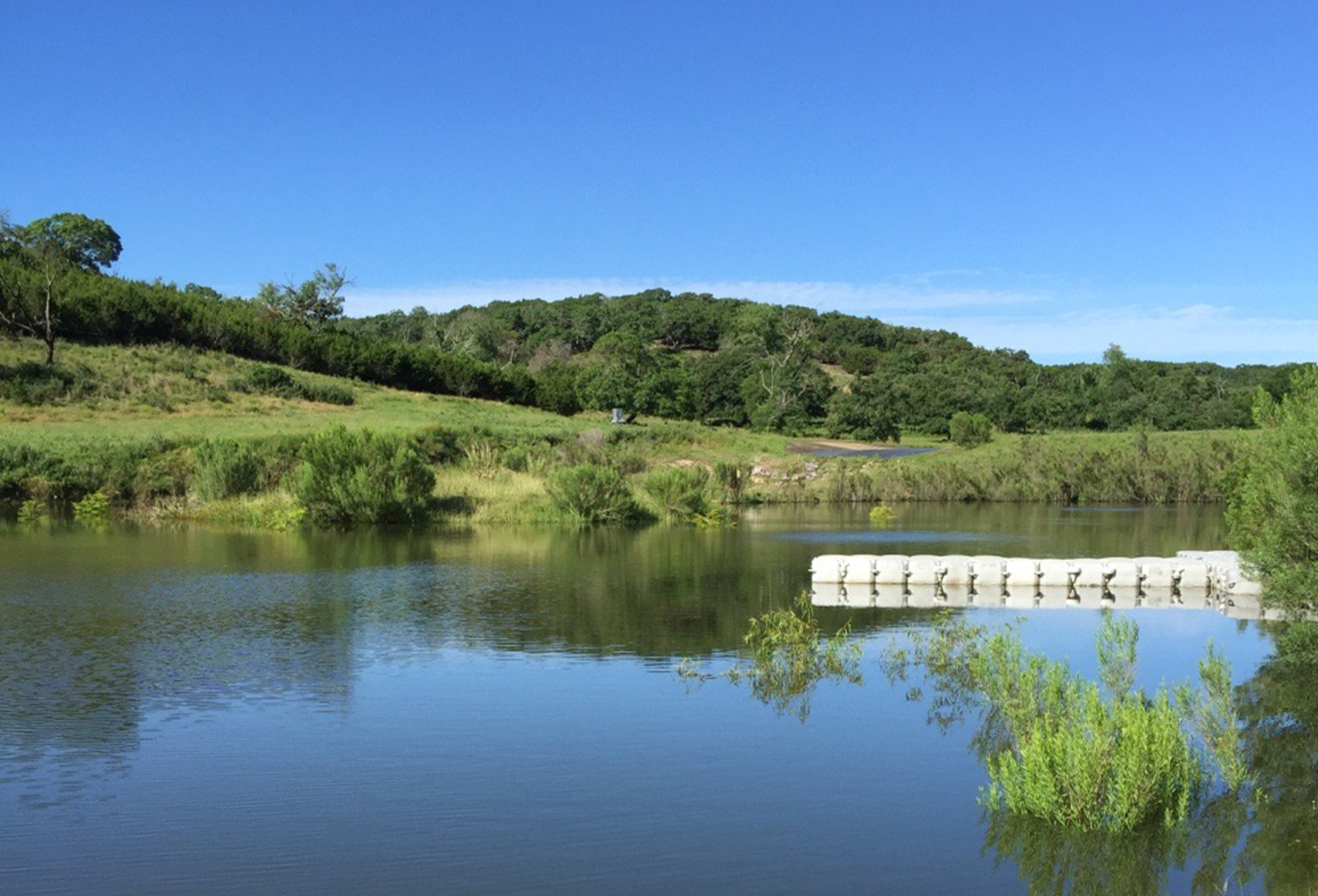 Pond